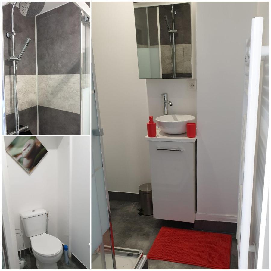 Chambres Poitiers Centre Ville - Salle De Bain, Refrigerateur, Tv Et Machine A Cafe Privatifs - Cuisine Commune - Terrasse - Hotel De Ville A 200M 외부 사진