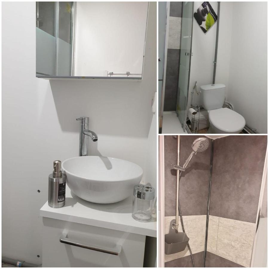 Chambres Poitiers Centre Ville - Salle De Bain, Refrigerateur, Tv Et Machine A Cafe Privatifs - Cuisine Commune - Terrasse - Hotel De Ville A 200M 외부 사진